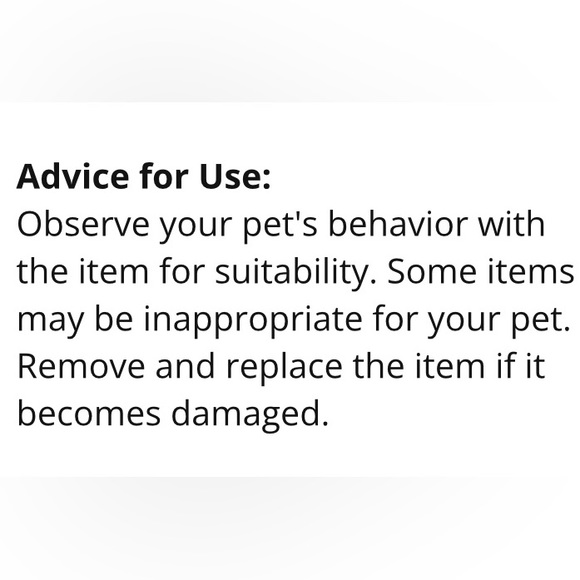 WILD CHILD Dog shirt - Picture 5 of 5